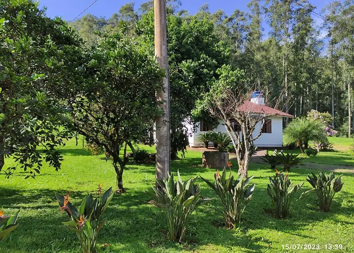 Casa Terrea Em Meio Ao Verde!