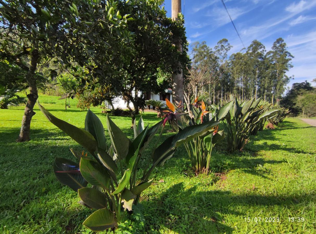 Casa Terrea Em Meio Ao Verde!